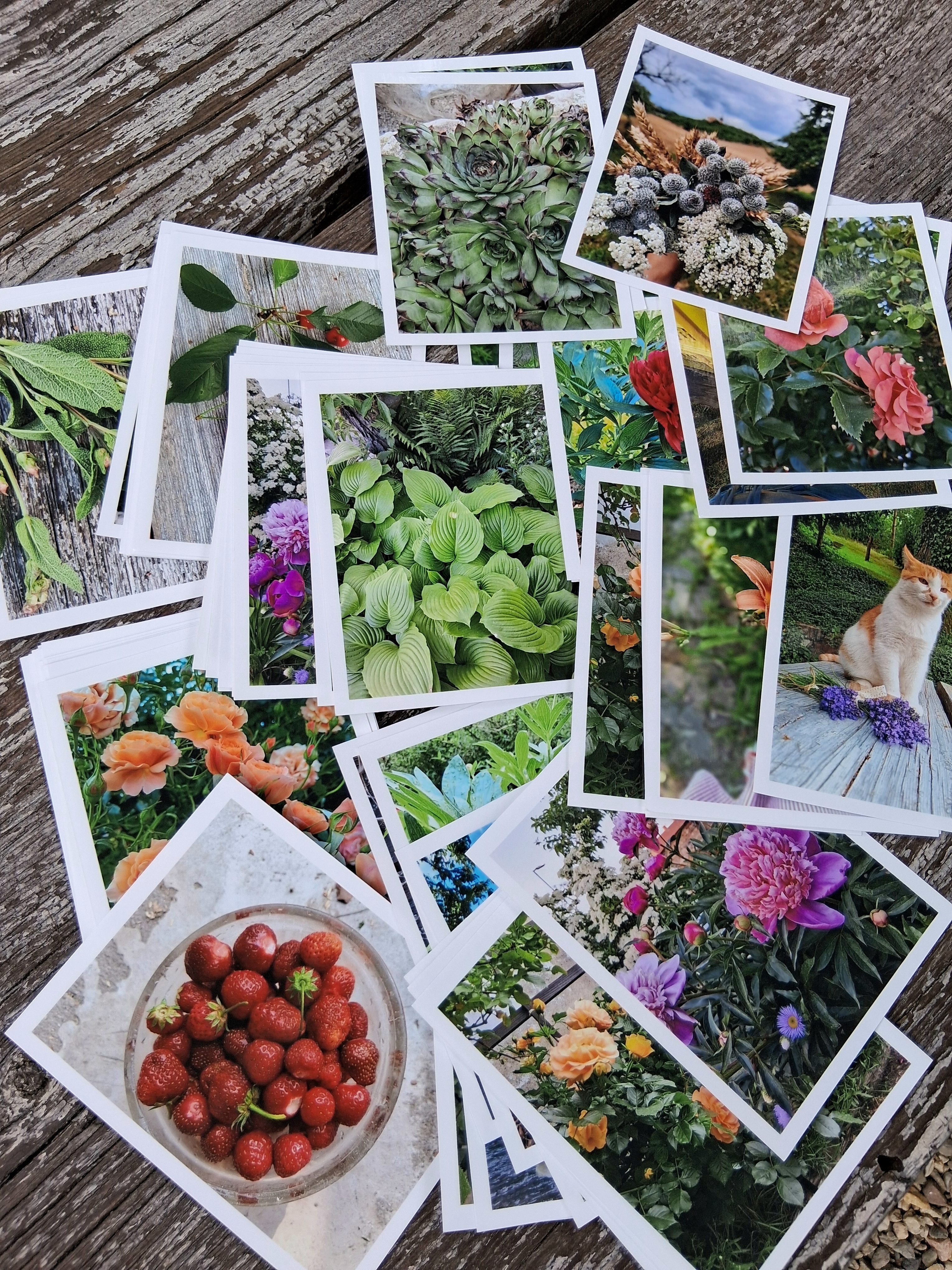 Autorské fotografie venkovská zahrada 60 ks