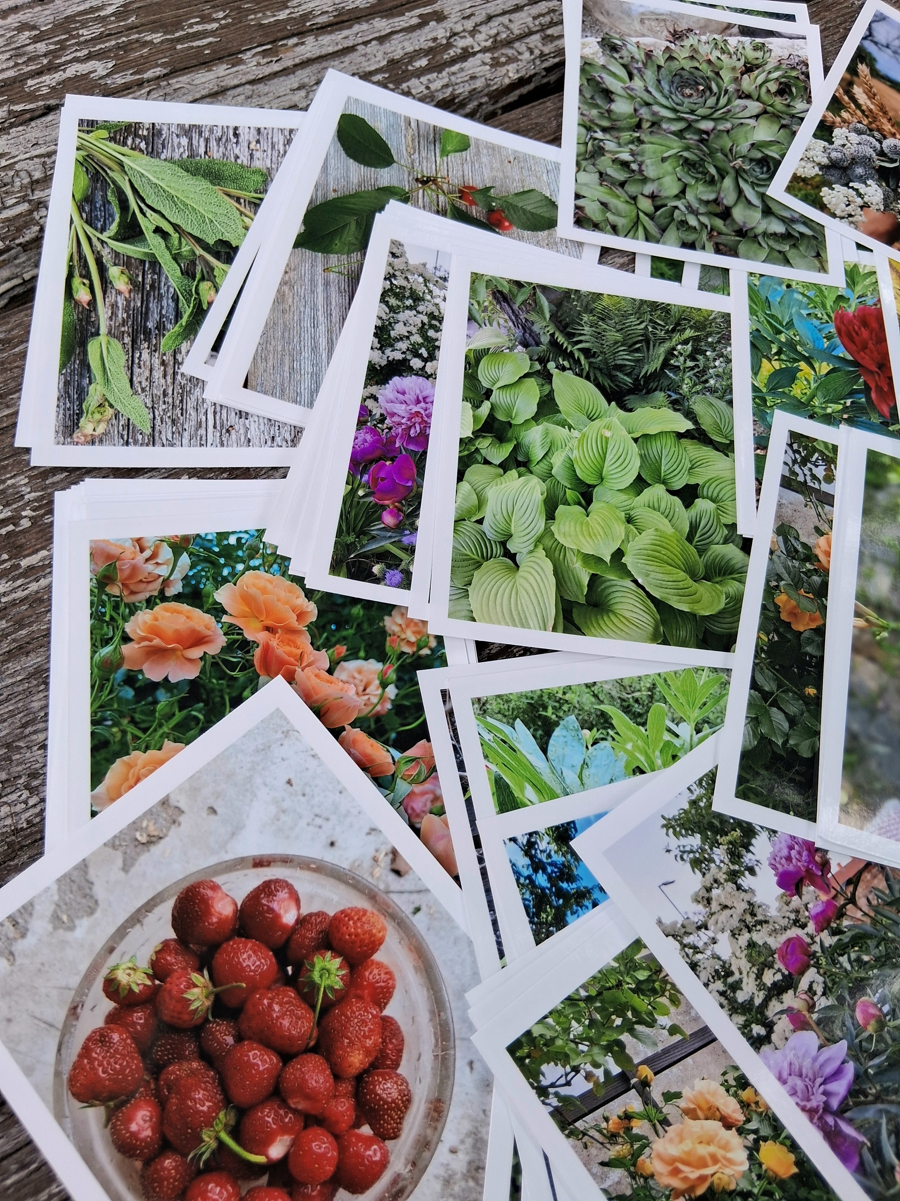 Autorské fotografie venkovská zahrada 60 ks
